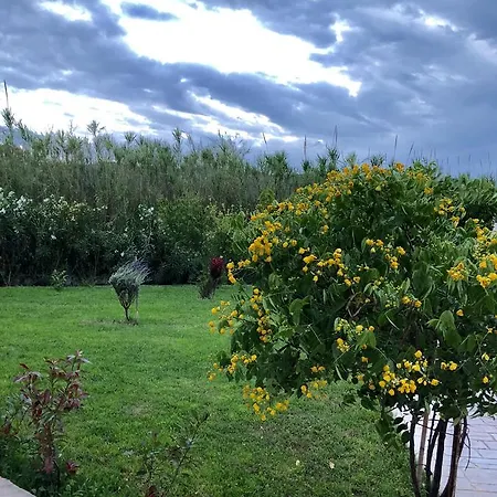 Aligis Апарт-отель Кателиос