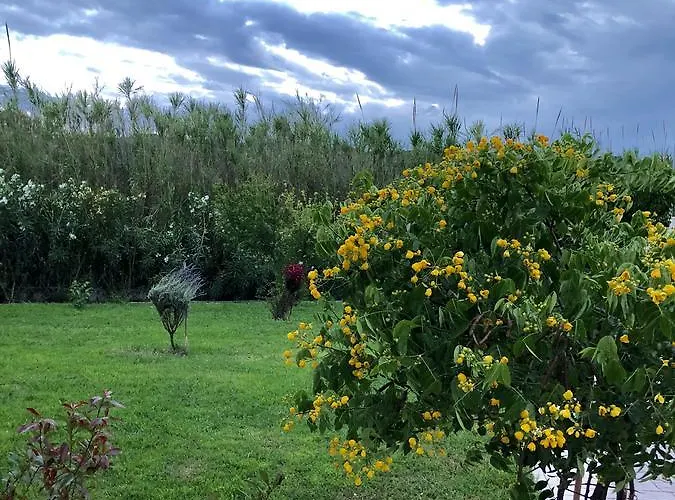 Aligis Lejlighedshotel Katelios